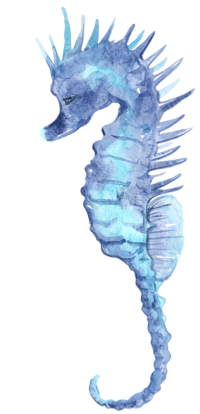 seahorse watercolor illustration for seafood and marine life